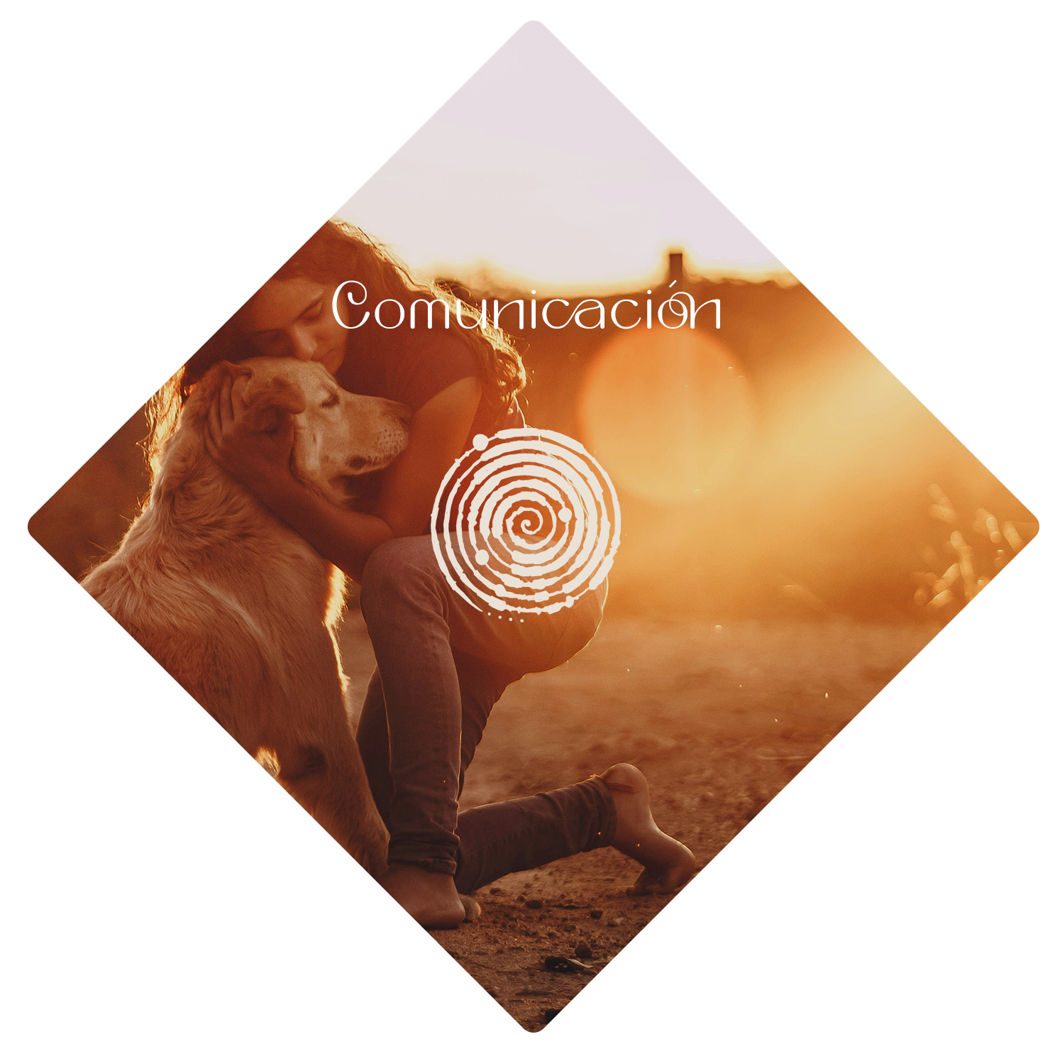 05-Comunicacion.png