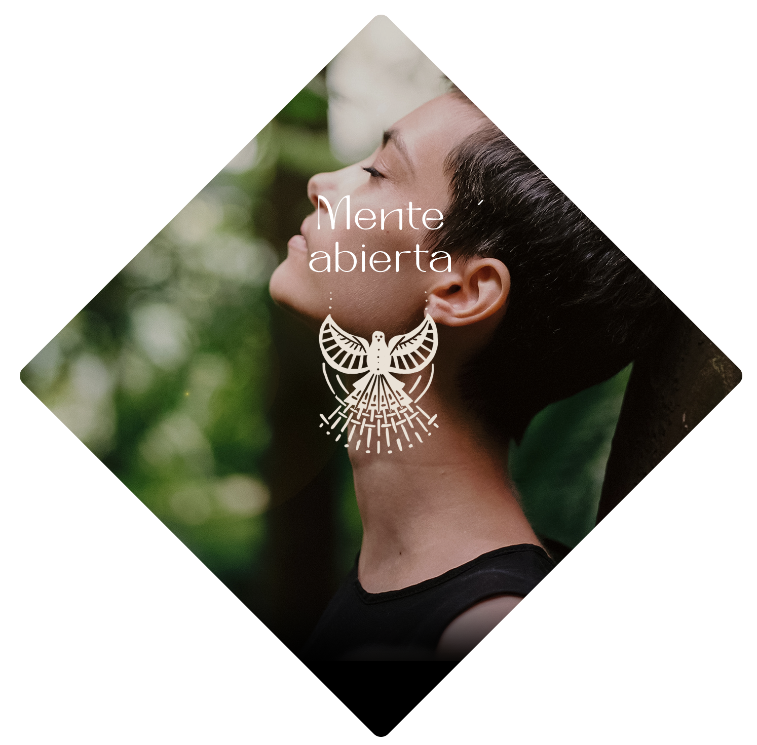 06-Mente-abierta-1.png